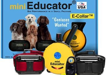 Mini Educator ET-302 Review: Game-Changing E-Collar for All Dogs