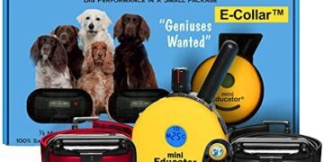 Mini Educator ET-302 Review: Game-Changing E-Collar for All Dogs