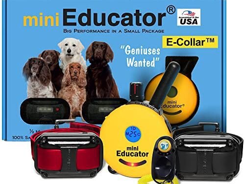 Mini Educator ET-302 Review: Game-Changing E-Collar for All Dogs