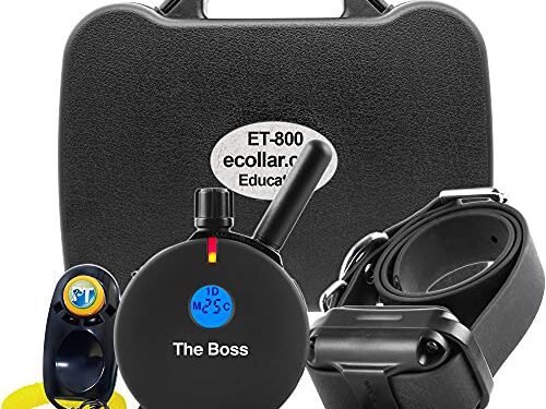 E-Collar ET-800 Review: Game-Changing Dog Trainer for Obedience