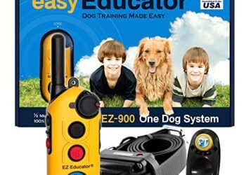 E-Collar Educator EZ-900 Review: A Game-Changer for Dog Training