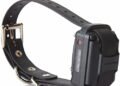 Educator Collar Review: A Game-Changer for Dog Training