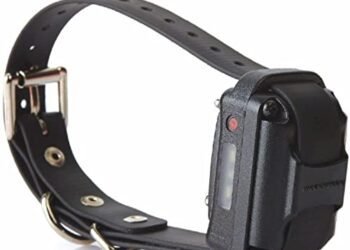 Educator Collar Review: A Game-Changer for Dog Training