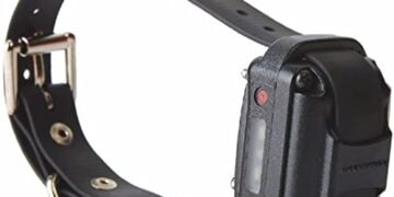 Educator Collar Review: A Game-Changer for Dog Training