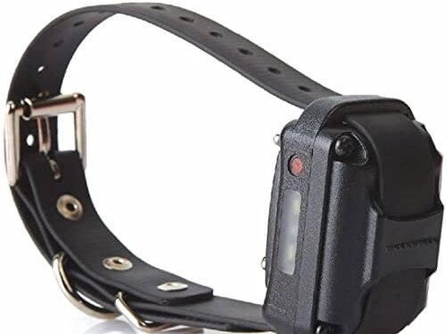 Educator Collar Review: A Game-Changer for Dog Training