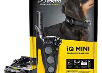 Dogtra iQ Mini Review: Game-Changing E-Collar for Small Dogs