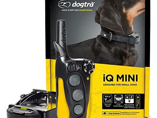 Dogtra iQ Mini Review: Game-Changing E-Collar for Small Dogs