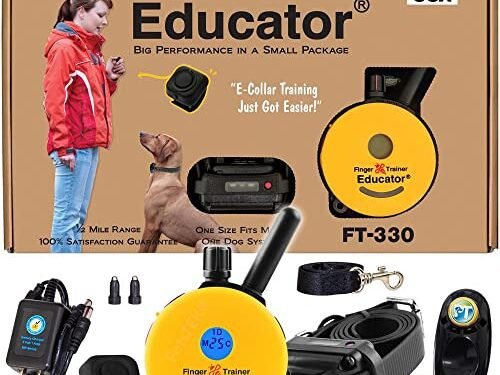 E-Collar FT-330 Review: Game-Changing Trainer For Small Dogs