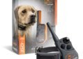 SportDOG 425X Review: Game-Changing Dog Training Collar!