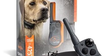 SportDOG 425X Review: Game-Changing Dog Training Collar!