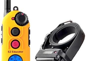 Educator EZ Collar Review: A Game-Changer for Dog Training