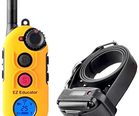 Educator EZ Collar Review: A Game-Changer for Dog Training