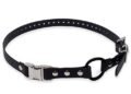 Educator Bungee Collar: Game-Changing Dog Collar for Training?