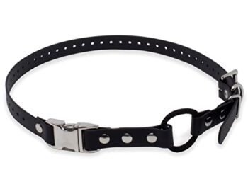Educator Bungee Collar: Game-Changing Dog Collar for Training?