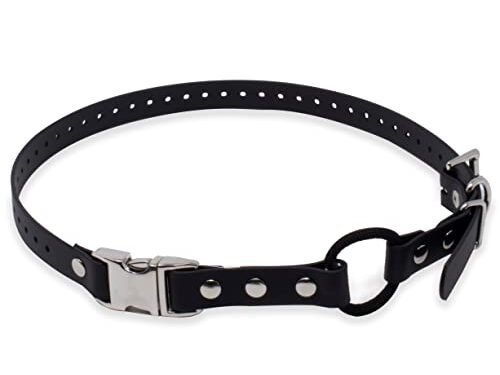 Educator Bungee Collar: Game-Changing Dog Collar for Training?