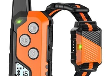 PIOUNS Shock Collar Review: Game-Changing Training for Your Dog