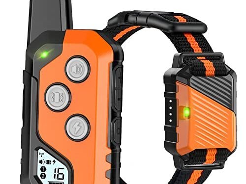PIOUNS Shock Collar Review: Game-Changing Training for Your Dog