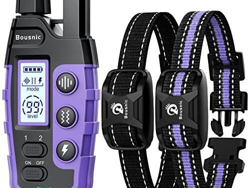 BOUSNIC Dog Shock Collar Review: Game-Changer for Training?