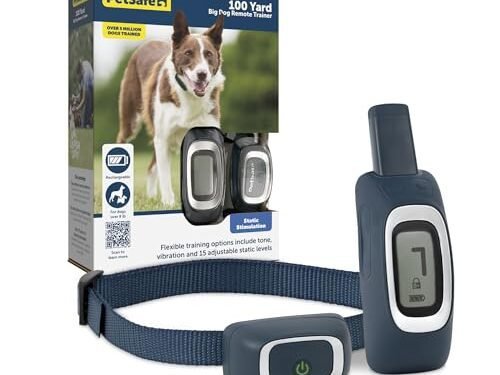 PetSafe Remote Trainer Review: Game-Changing Collar for Training