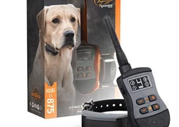 SportDOG 875 Review: Game-Changing E-Collar for Dog Training
