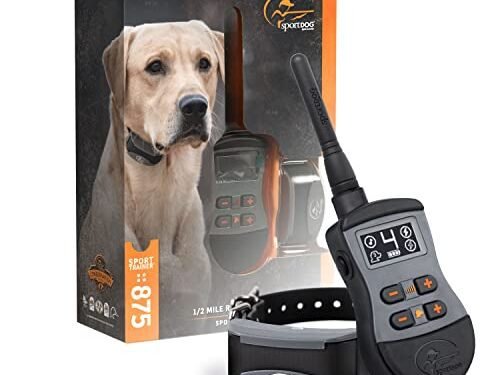 SportDOG 875 Review: Game-Changing E-Collar for Dog Training