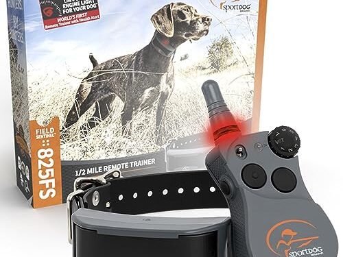 SportDOG FieldSentinel 825 Review: Game-Changing E-Collar!