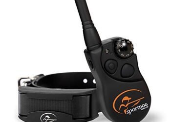 SportDOG YardTrainer 300 Review: Game-Changing Trainer for Dogs