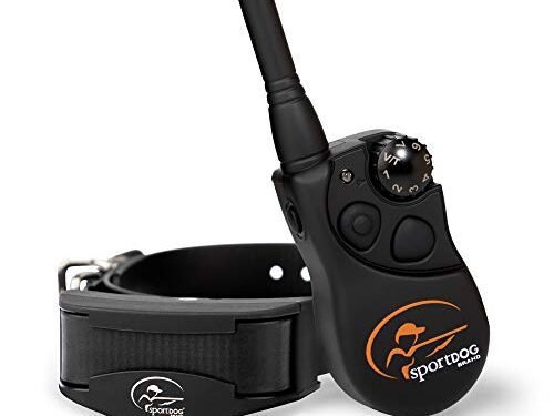 SportDOG YardTrainer 300 Review: Game-Changing Trainer for Dogs