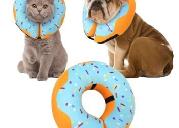 Recovery Donut Collar Review: A Comfy Cone Alternative!