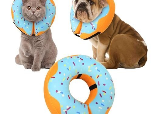 Recovery Donut Collar Review: A Comfy Cone Alternative!