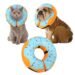 Recovery Donut Collar Review: A Comfy Cone Alternative!