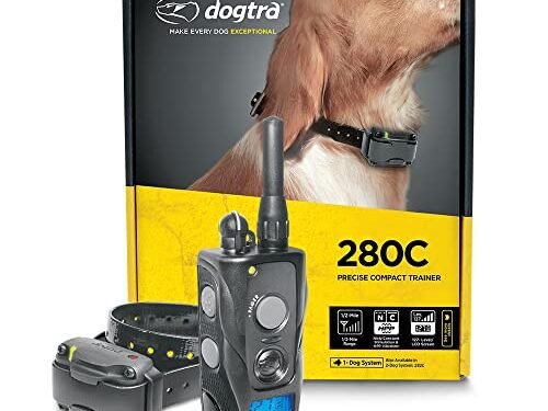 Dogtra 280C Review: Game-Changing E-Collar for Dog Training