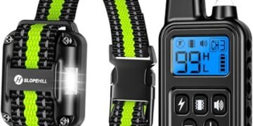 Dog Training Collar Review: Game-Changing for Stubborn Dogs