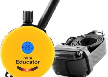 Educator E-Collar Review: Game-Changing Trainer for Small Dogs