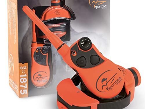 SportDOG UplandHunter 1875 Review: Game-Changing Dog Trainer