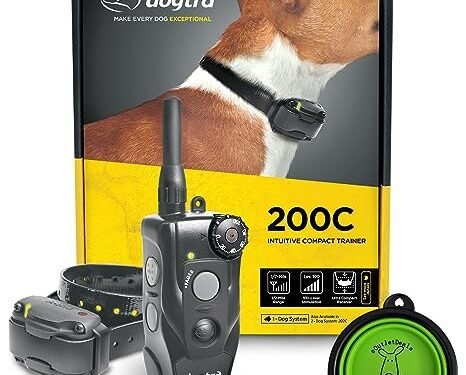 Dogtra 200C/202C Review: Game-Changing Dog Training Collar