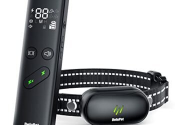 Dog Shock Collar Review: Game-Changing Training E-Collar?