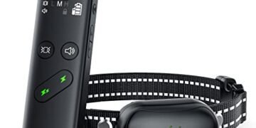 Dog Shock Collar Review: Game-Changing Training E-Collar?