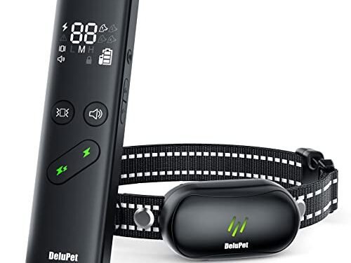 Dog Shock Collar Review: Game-Changing Training E-Collar?