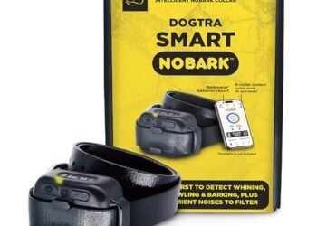 Dogtra Smart NOBARK Review: Game-Changing e-Collar for Small Dogs
