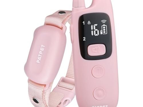 PATPET Shock Collar Review: Training Made Easy in 2024
