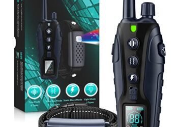 Dog Shock Collar Review: A Game-Changer for Dog Training?