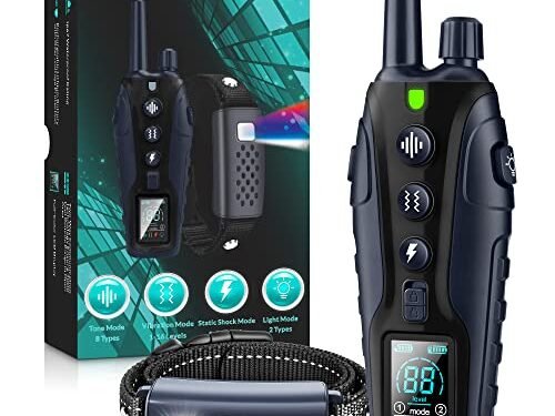 Dog Shock Collar Review: A Game-Changer for Dog Training?