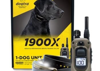 Dogtra 1900X E-Collar Review: A Game-Changer for Dog Training