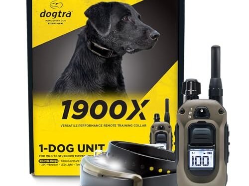 Dogtra 1900X E-Collar Review: A Game-Changer for Dog Training
