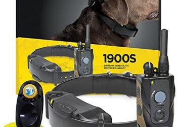 Dogtra 1900S Review: A Game-Changing E-Collar for Dog Training