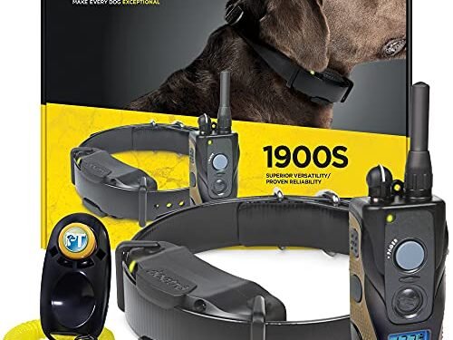 Dogtra 1900S Review: A Game-Changing E-Collar for Dog Training
