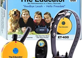 Educator ET-400 E-Collar Review: Game-Changing Dog Trainer!