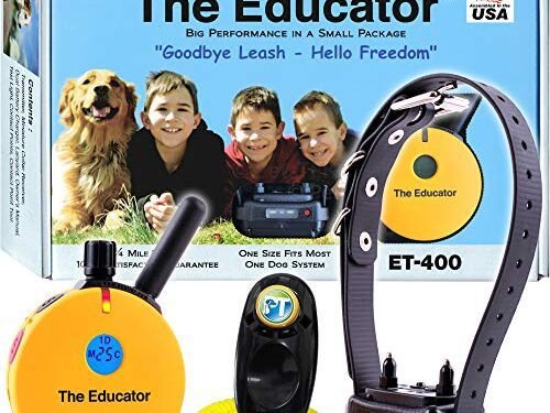 Educator ET-400 E-Collar Review: Game-Changing Dog Trainer!