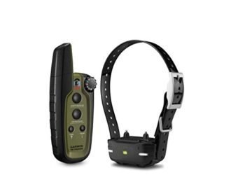 Garmin Sport PRO Review: Game-Changing Dog Training Collar